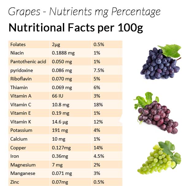 Nutrient composition of grapes