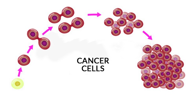 Cancer cell diagram
