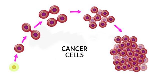 Cancer cells