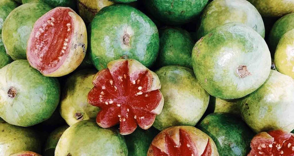 Vitamins for dry skin - Guava