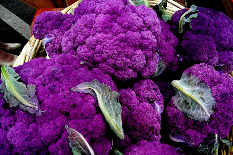 Anthocyanin Supplement: Promising health benefits and side effects Anthocyanin supplement foods are rich in bioactive compounds including anthocyanin.They possess many health benefits to support your health.