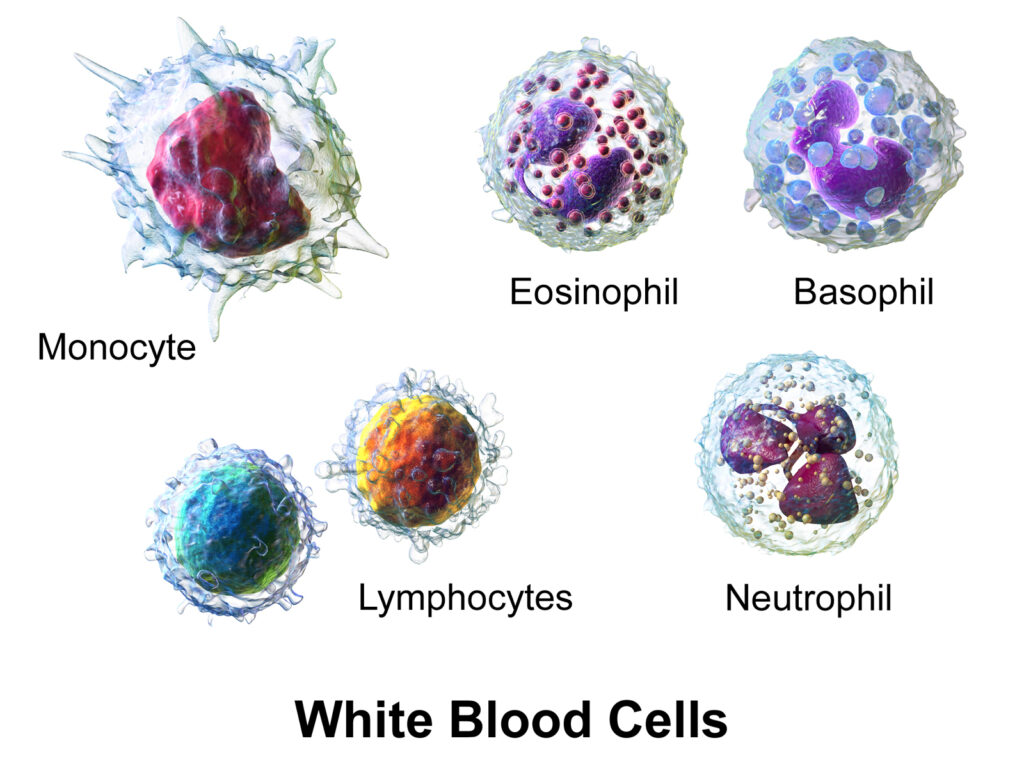 immune boosting effects of Soursop