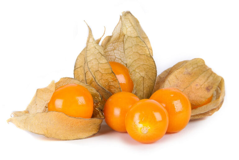 Golden Berries, the Superfood You Need to Know About At a glance, the golden berries can be called as a simple fruit. But what’s not usual is it's leading to rightly be called a “superfood”.
