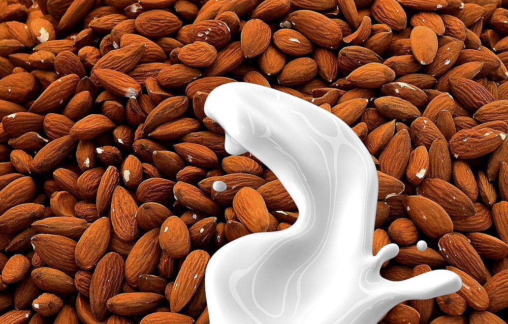 Almond nuts are full of proteins, and regular consumption of almonds may lower LDL cholesterol levels and reduce heart disease risk.