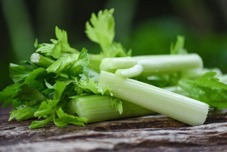 Celery: 14 health benefits you never knew Eating celery can give you many health benefits you didn't know. Here are 14 of the most important health benefits of celery.