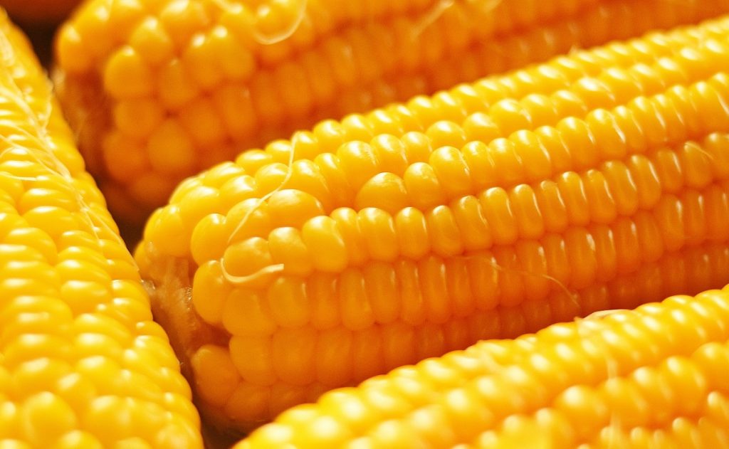 Sweet corn is one of the sweet  vegetables which  can be used for side dishes.