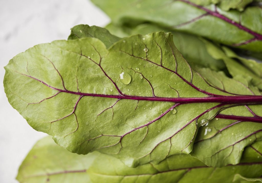 Swiss chard, which is one of the sweetest green vegetable
