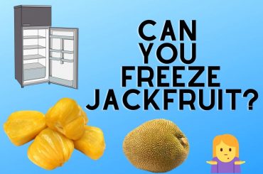 Can you Freeze Jackfruit? Complete Guide Can you Freeze Jackfruit? Yeah, of course, jackfruit can be frozen for quite a few months. It may not appear to be a lot of time, but it's...