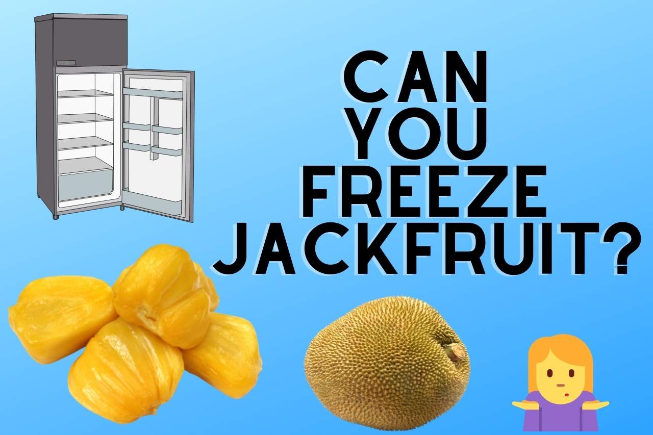 Can you Freeze Jackfruit? Yeah, of course, jackfruit can be frozen for quite a few months. It may not appear to be a lot of time, but it's...
