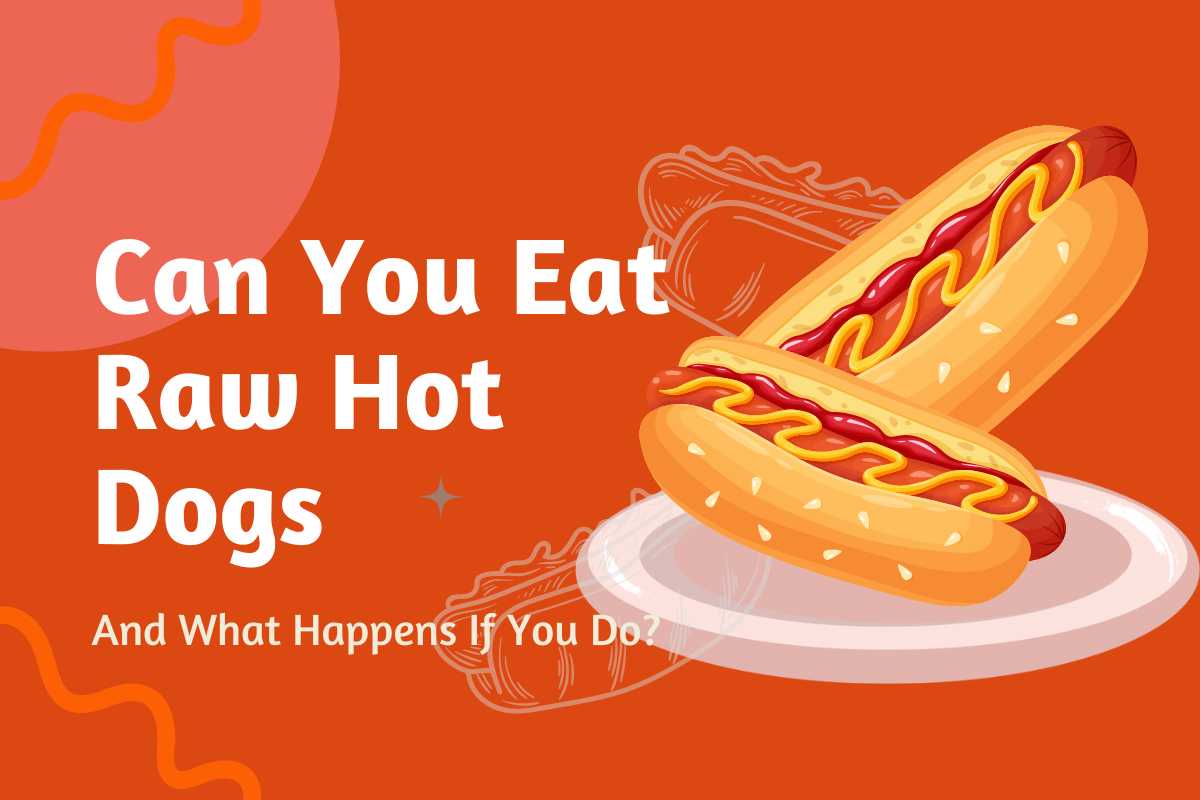 Can you eat raw hotdogs - They are a popular grilling meal that almost everyone enjoys. Hot dogs are a contentious food that has been recognized for raw consumption.