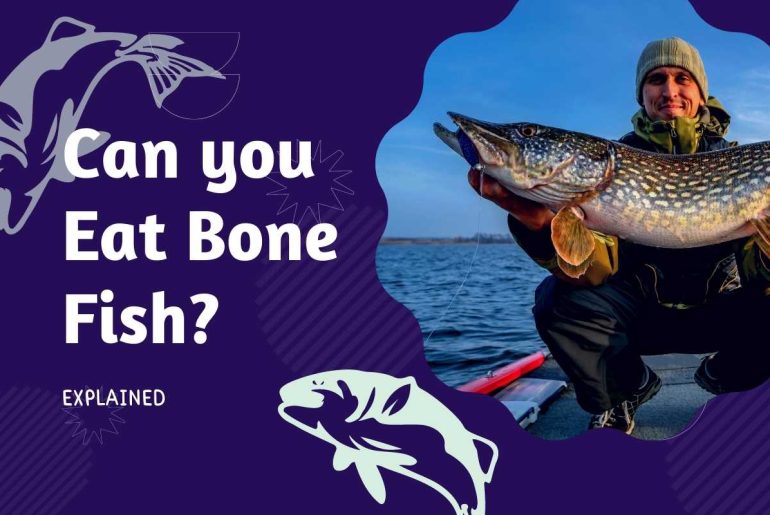 A bonefish, as its name indicates, is chock-full of bones. Some of these bones are so little that getting rid of them might be difficult. Many societies have long consumed bonefish, including Indigenous people.