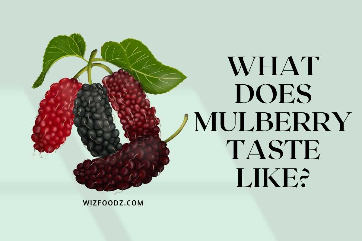 What does mulberry taste like - Mulberry has a combination of sweet and acidic flavours. But it is not too tart on your tongue. It is just a hint of tartness.ometimes, it gives you a hint of woody cedar or baking spices.