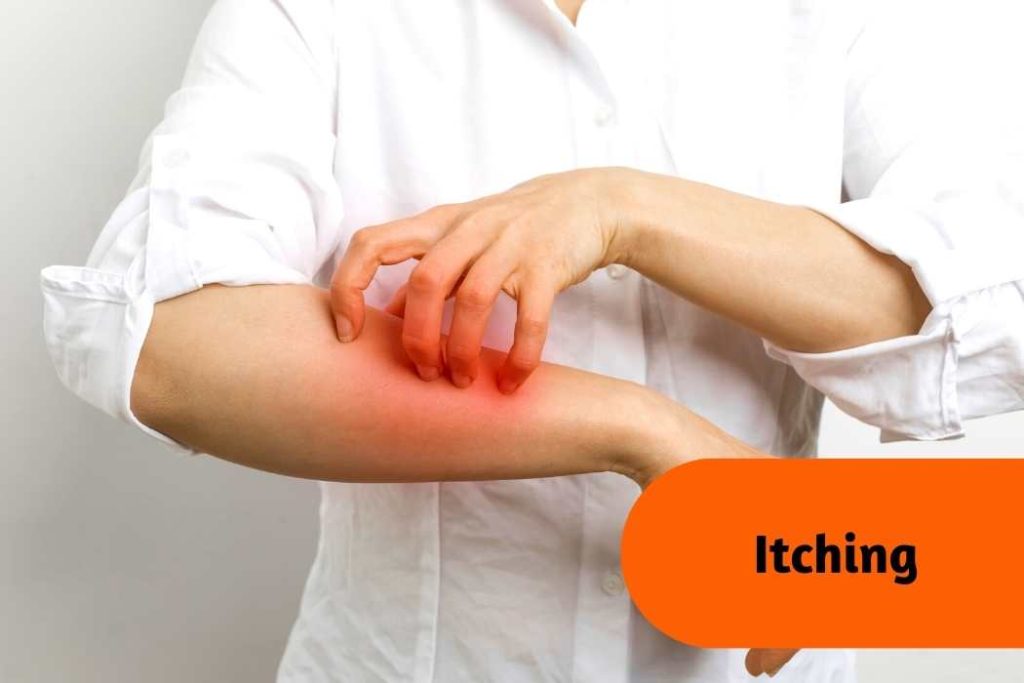 Itching condition due to skin rash in mushroom allergy