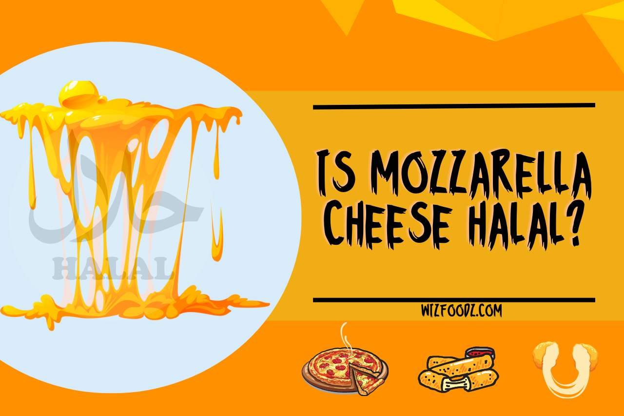 is mozzarella cheese halal